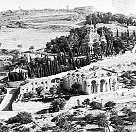 Gethsemane hardin, Mount of Olives, Jerusalem