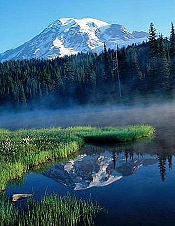 Mount Rainier National Park nacionalinis parkas, Vašingtonas, JAV