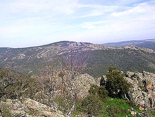 Ang mga bundok ng Sierra Morena, Spain