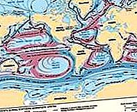 Υποτροπική ωκεανογραφία φύλλων