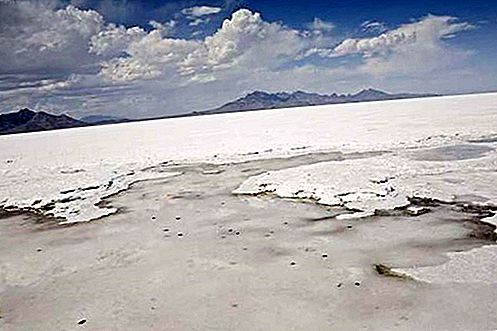 Bonneville Salt Flats-regio, Utah, Verenigde Staten