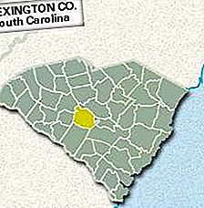 Lexington county, South Carolina, Amerika Serikat