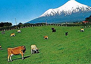 جبل جبل تاراناكي ، نيوزيلندا