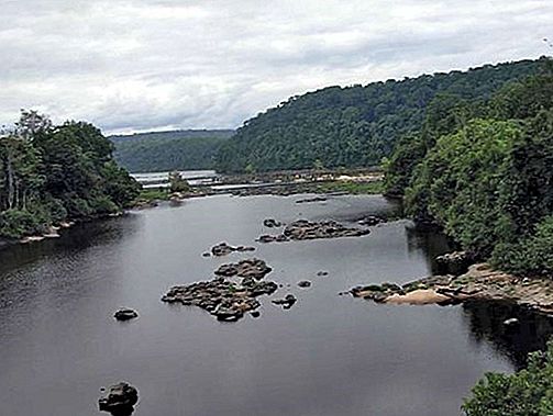 Sungai Ogooué River, Afrika