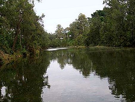 Richmond River river, New South Wales, Australia