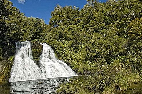 Urewera National Park nationalpark, New Zealand
