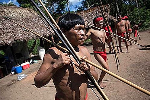 Yanomami Leute