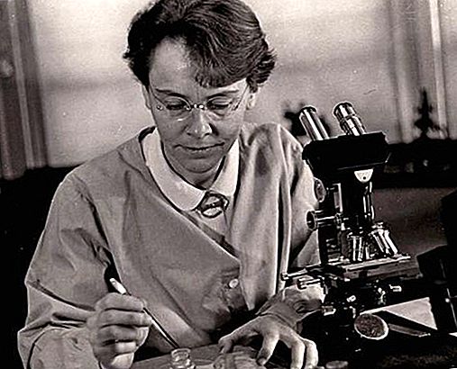 Barbara McClintock ameriška znanstvenica