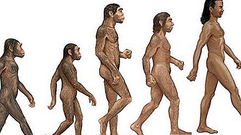 Neandertaler archaischer Mensch