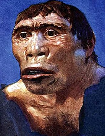 Java-mann utdød hominid