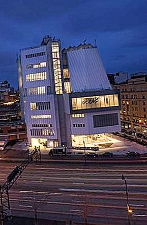 Muzej ameriške umetnosti Whitney, New York City, New York, Združene države Amerike