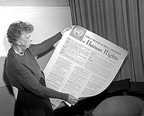 הכרזה אוניברסלית לזכויות אדם 1948