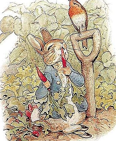 Peter Rabbit fiktiv karakter