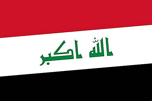 Steagul Irakului