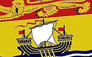 Bandiera della bandiera provinciale canadese del New Brunswick