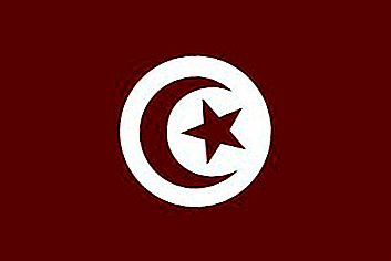 튀니지의 국기