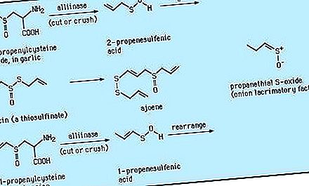 Związek chemiczny związku siarki organicznej