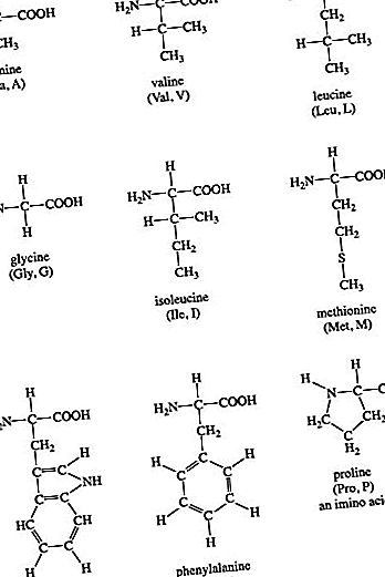 Kemijski spoj aminokiseline