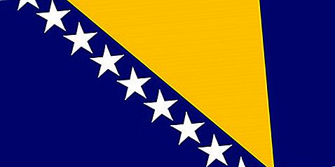 보스니아 헤르체고비나의 국기