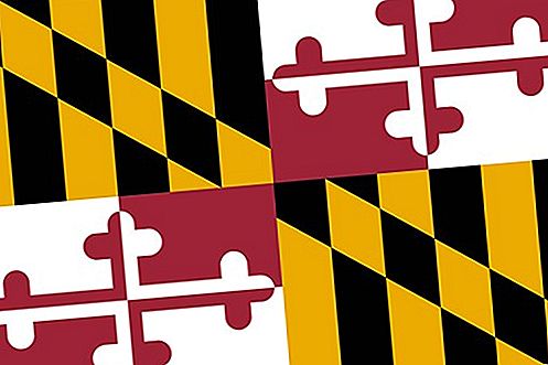 Flagge von Maryland Staatsflagge der Vereinigten Staaten