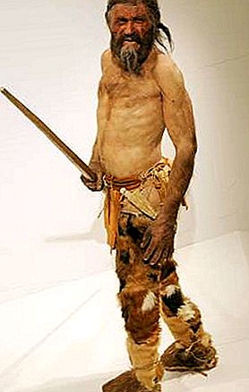 Ötzi neolitický mumifikovaný člověk