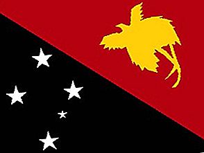 巴布亚新几内亚的旗帜