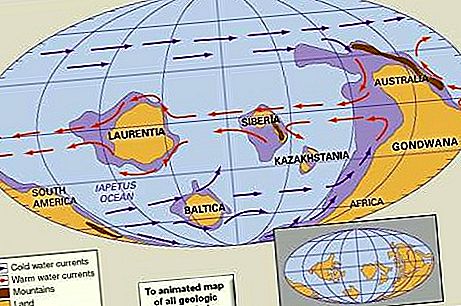 Kambrijos laikotarpio geochronologija