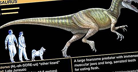 Dinosaur fossilt krypdyr