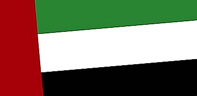 Flag De Forenede Arabiske Emirater