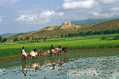 Karnataka delstat, India