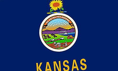 Flagg av Kansas State State flagg