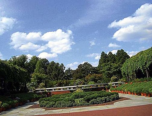 美国国家植物园植物园，华盛顿，哥伦比亚特区，美国