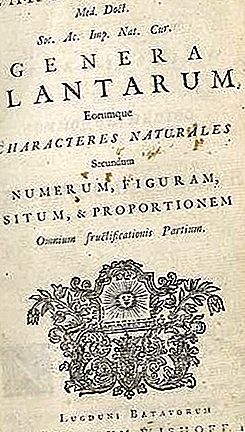 Carolus Linnaeus švédsky botanik