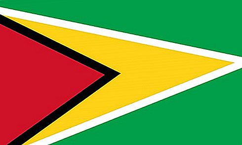 Cờ của Guyana