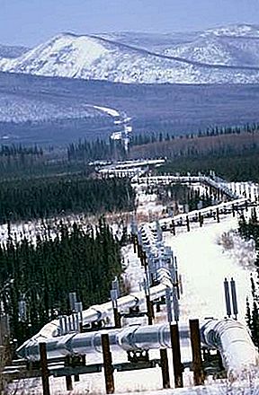 Ang pipeline ng Trans-Alaska Pipeline, Alaska, Estados Unidos