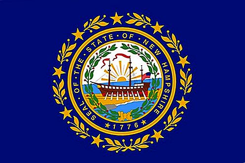 Flag fra New Hampshire Amerikas statsstat