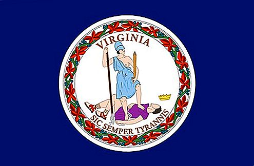 Vlag van Virginia Verenigde Staten vlag
