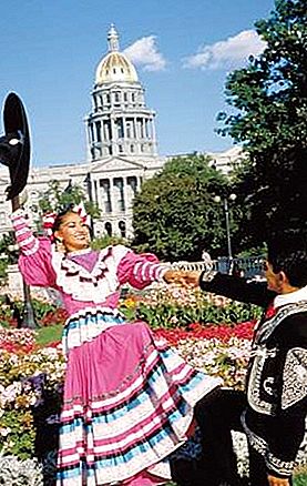 Hispanci v ZDA: Popis ZDA leta 2010