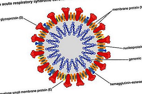 Biologija virusa