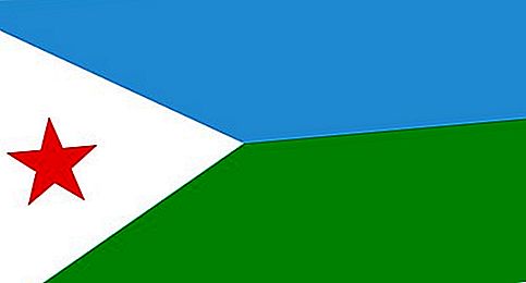 Flag fra Djibouti