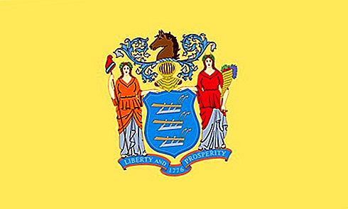 Знаме на държавното знаме на Ню Джърси