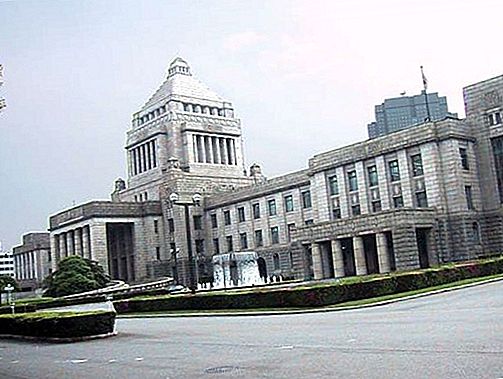 Gouvernement japonais