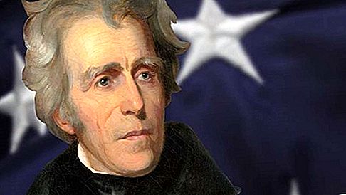 Andrew Jackson président des États-Unis