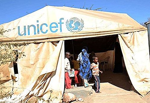 UNICEF nemzetközi szervezet