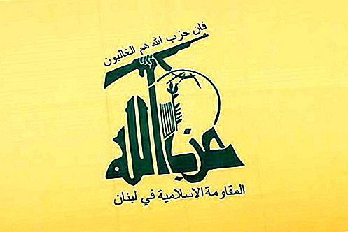 Organização libanesa do Hezbollah