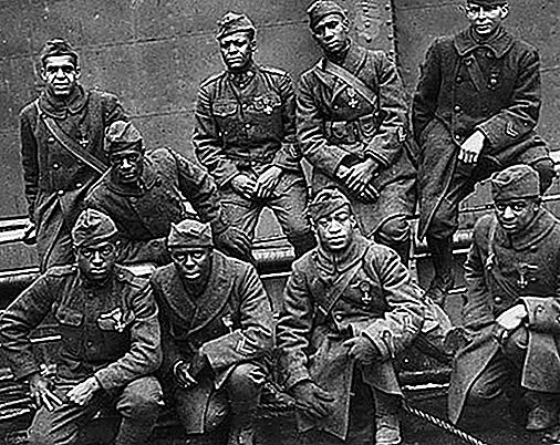 Harlem Hellfighters فوج جيش الولايات المتحدة