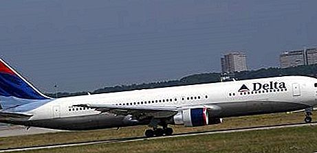 חברת Delta Air Lines, Inc. חברה אמריקאית