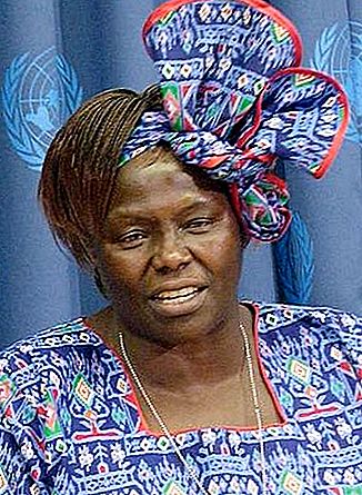 Wangari Maathai Kenian kouluttaja ja hallituksen virkamies
