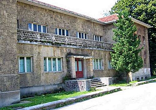 Protifašistická rada pro národní osvobození Jugoslávie Jugoslávská organizace