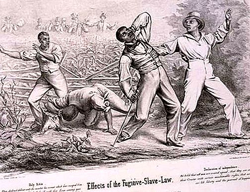 도망자 노예 행위 미국 [1793, 1850]